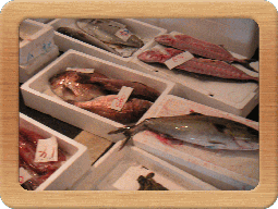 良い魚がいっぱい